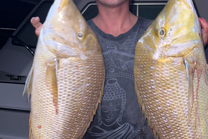 a man holding a fish posing for the camera