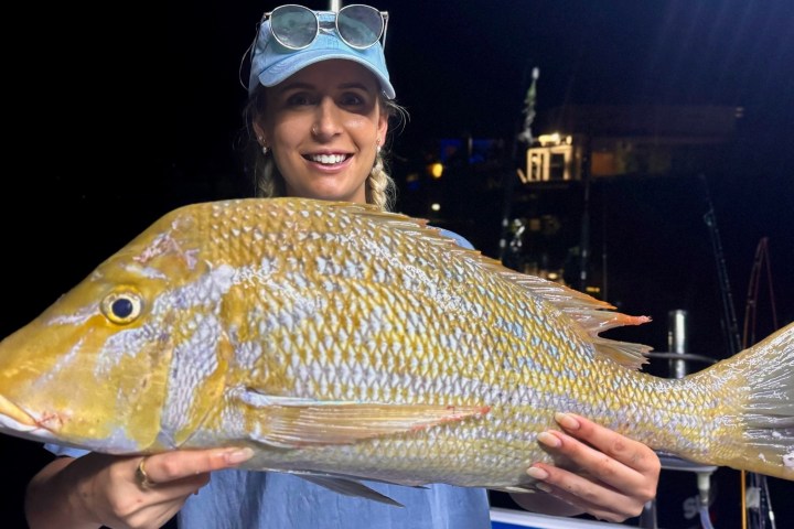 a person holding a fish