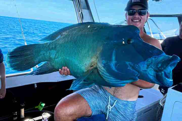 Person on boat holding large, blue-green fish with ocean in background.