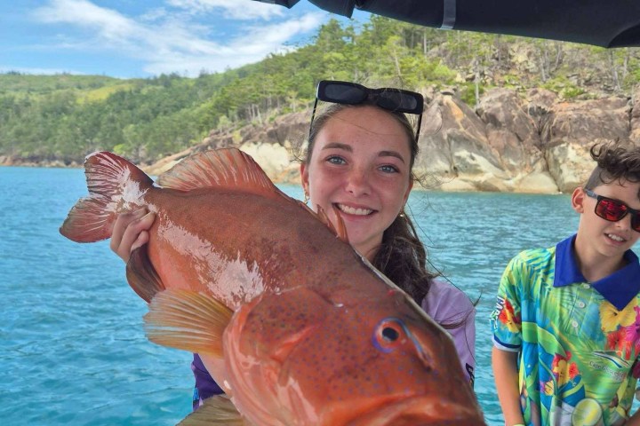 Person on boat holding a large fish, with water and forested cliffs in the background.
