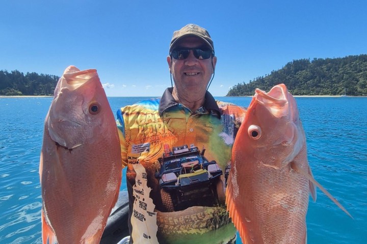 Person on a boat holding two large fish with a clear blue sky and water in the background.